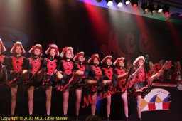20230212_kindersitzung_4276