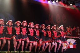 20230212_kindersitzung_4277