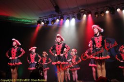20230212_kindersitzung_4280