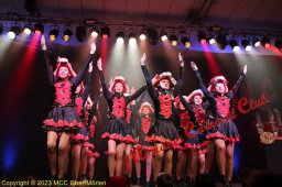 20230212_kindersitzung_4282
